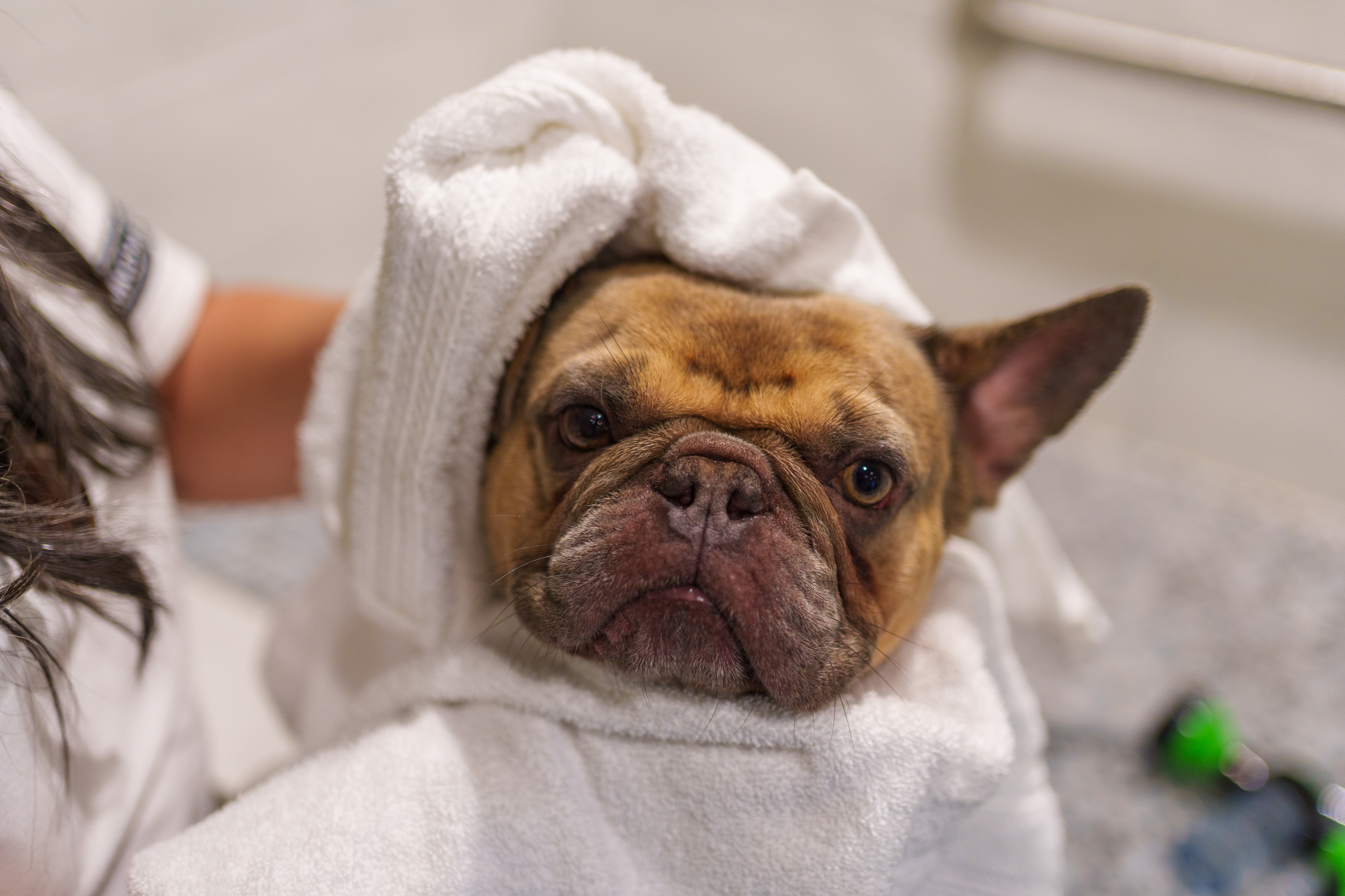 Barks & Bubbles